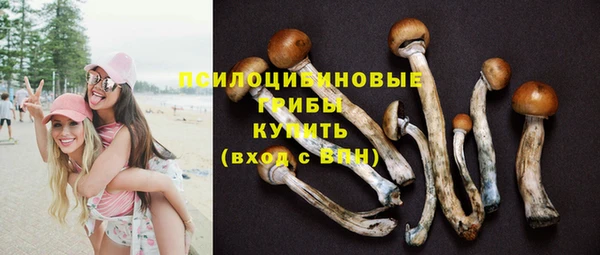 спиды Инсар